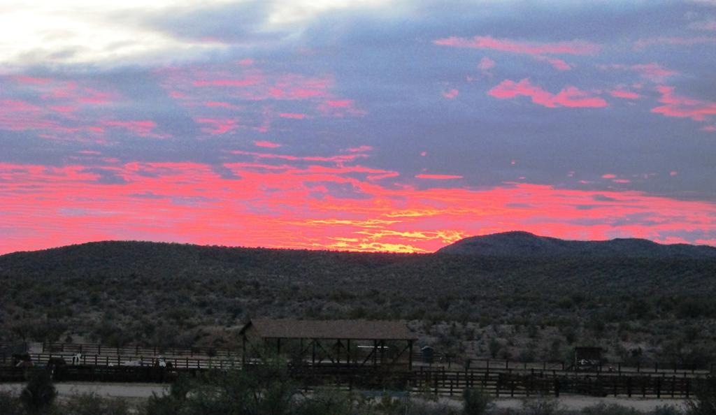 Flying E Guest Ranch Wickenburg Buitenkant foto