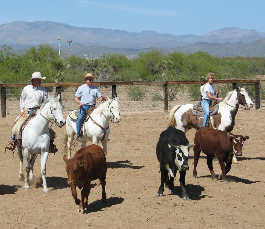 Flying E Guest Ranch Wickenburg Buitenkant foto