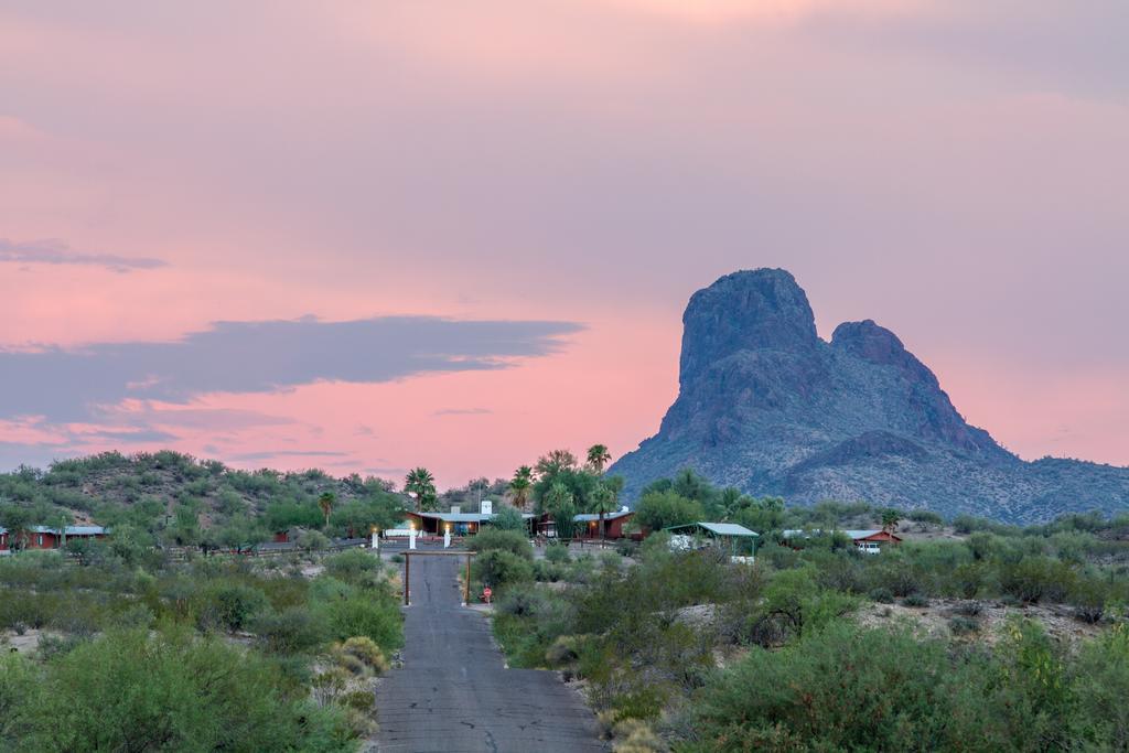 Flying E Guest Ranch Wickenburg Buitenkant foto